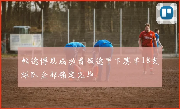 帕德博恩成功晋级德甲下赛季18支球队全部确定完毕