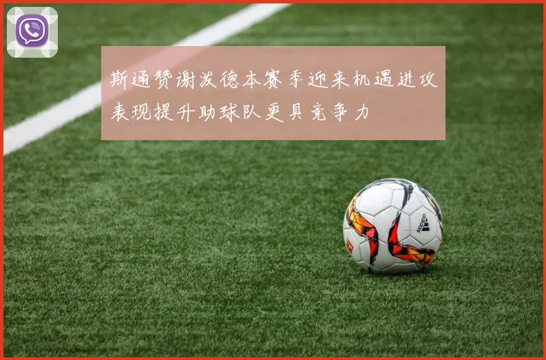 斯通赞谢泼德本赛季迎来机遇进攻表现提升助球队更具竞争力
